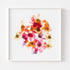 Daisy Mix Flower Art Print